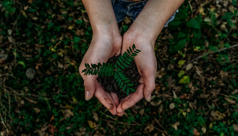 Sustainable Gifting Trends